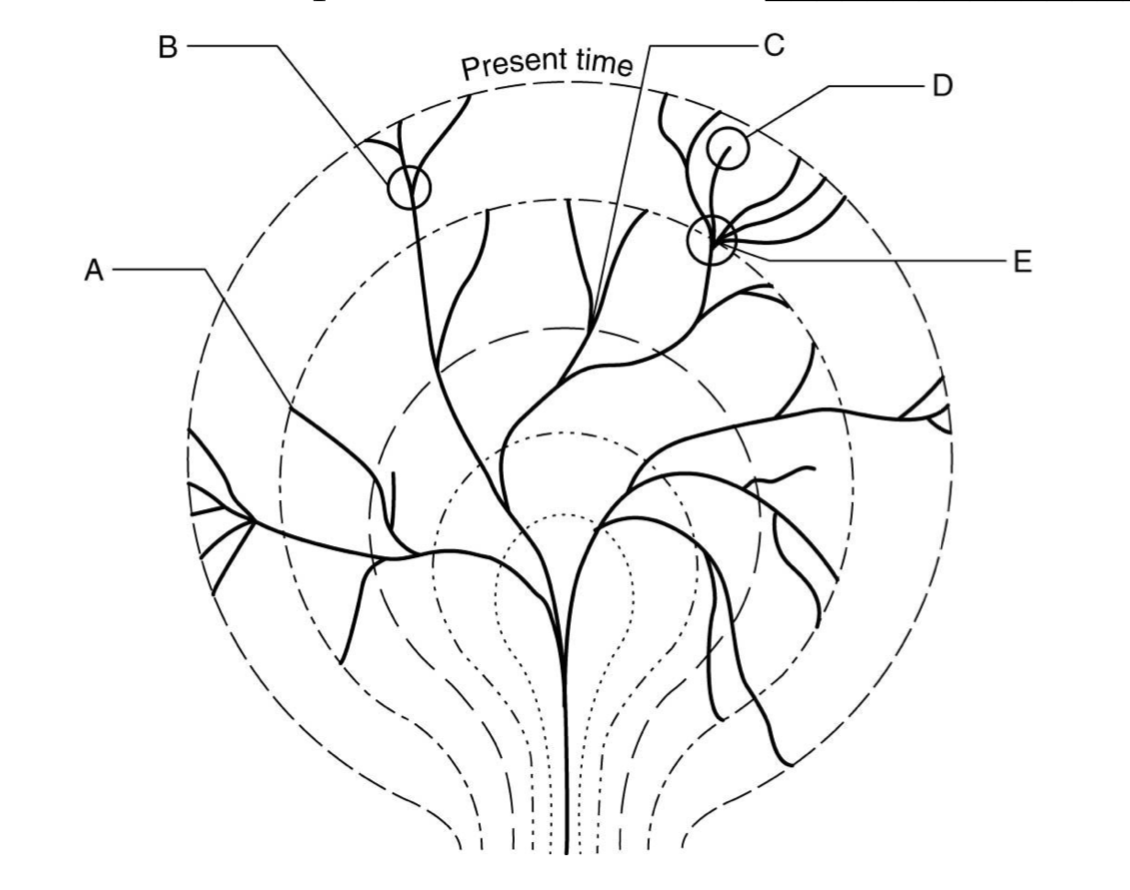 <p><strong><span>A and D</span></strong></p>