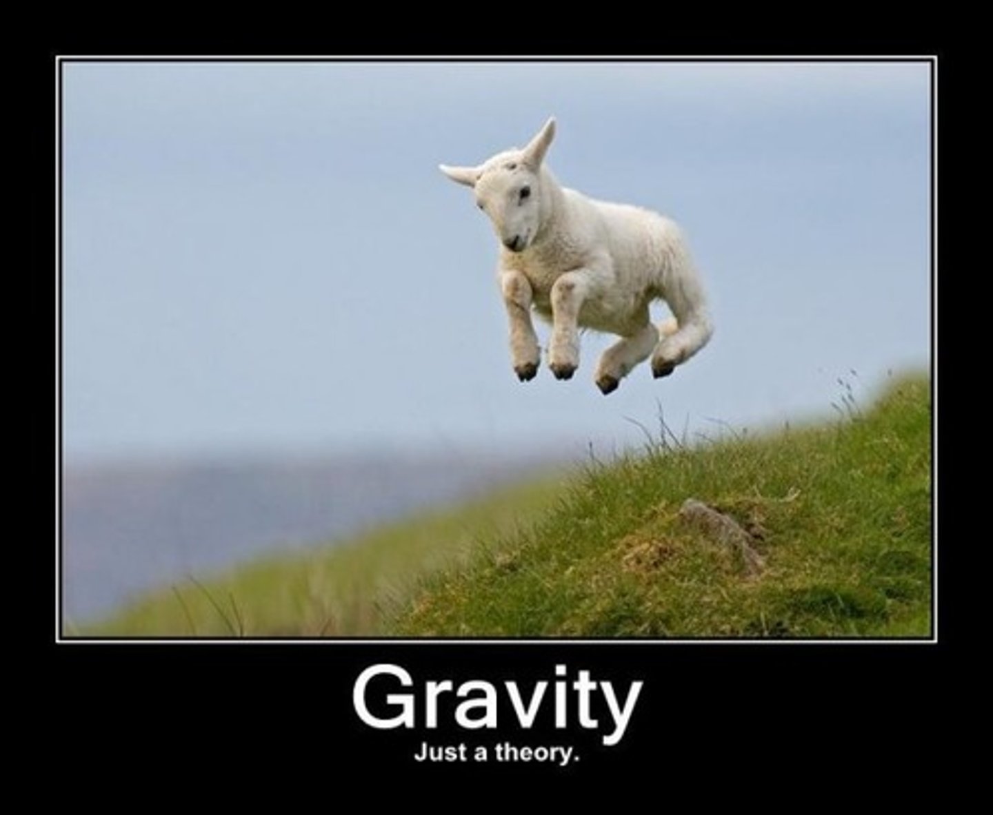 <p>a universal attractive force that acts between all matter due to their masses</p>