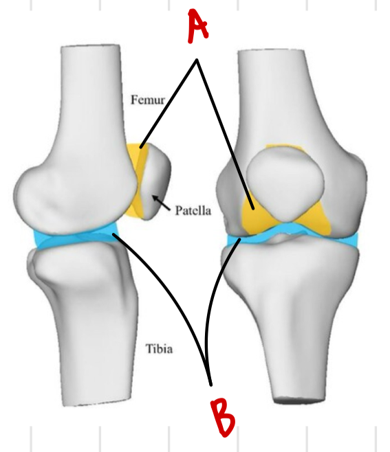 <p>a</p>