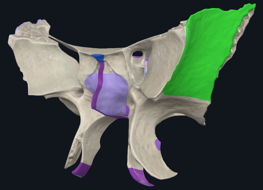 term image
