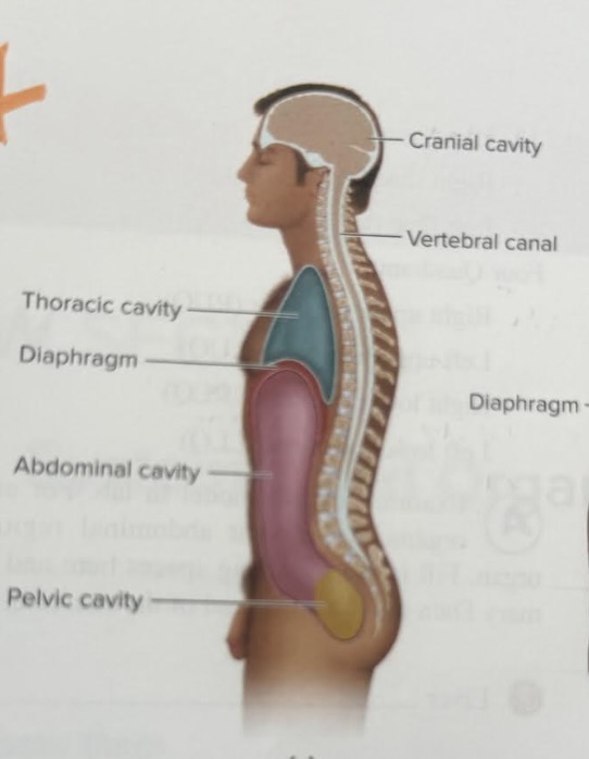 <p><span data-name="laughing" data-type="emoji">😆</span></p>