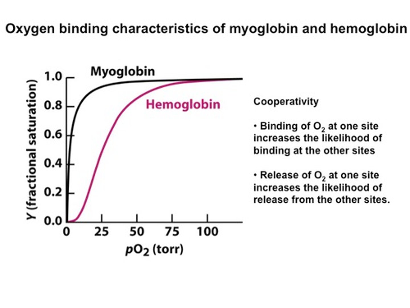 <p>hyperbolic; sigmoidal</p>