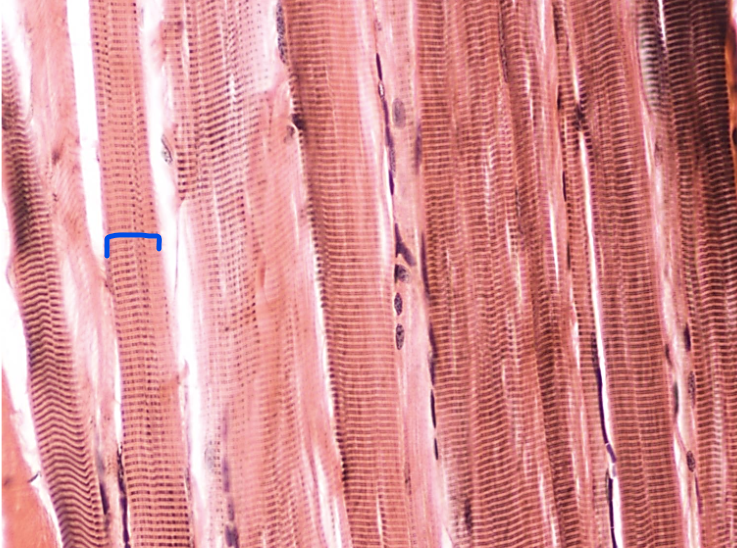 <p>What is this?</p>