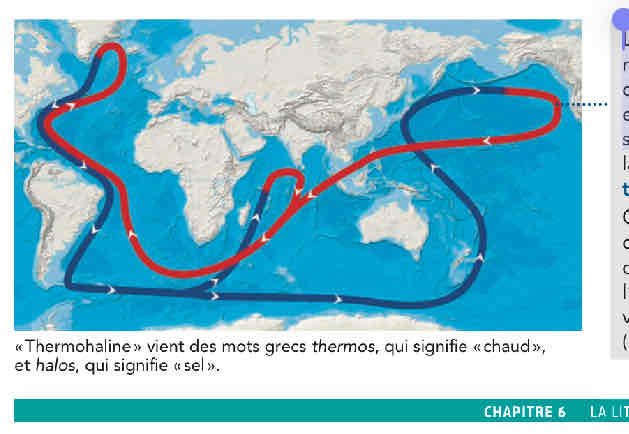 <p>L’ensemble des courants marins forme une boucle de circulation qui déplace les eaux océaniques partout sur le globe</p>