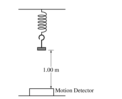 <p>2022 QUESTION 5</p>