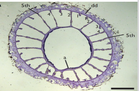 <p>what is this?</p>