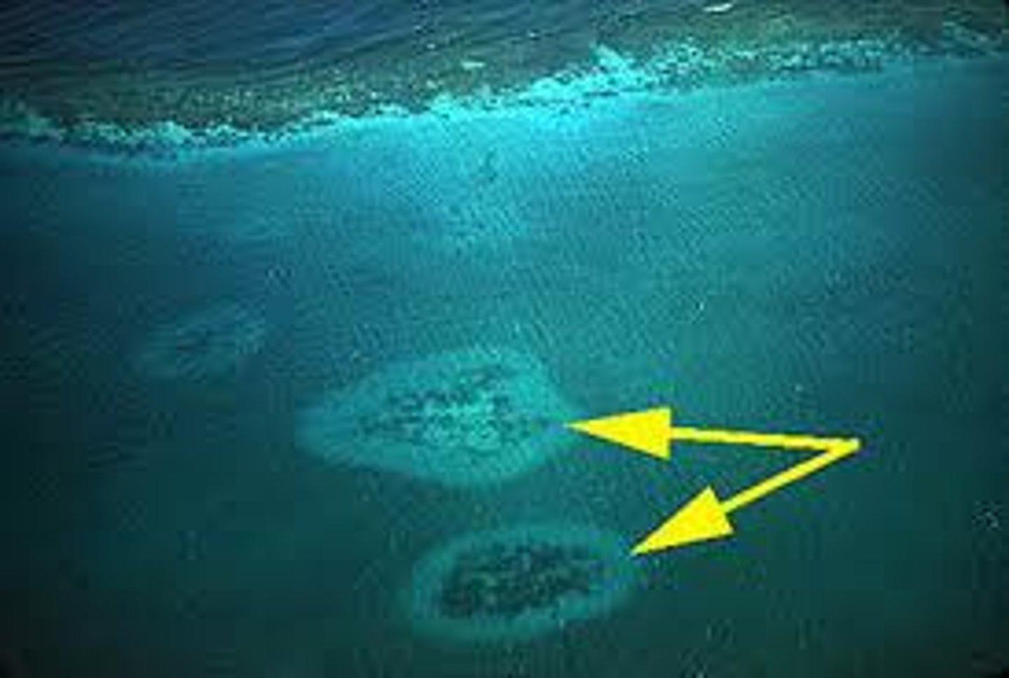 <p>in between the land and the barrier reef, show up here and there</p>
