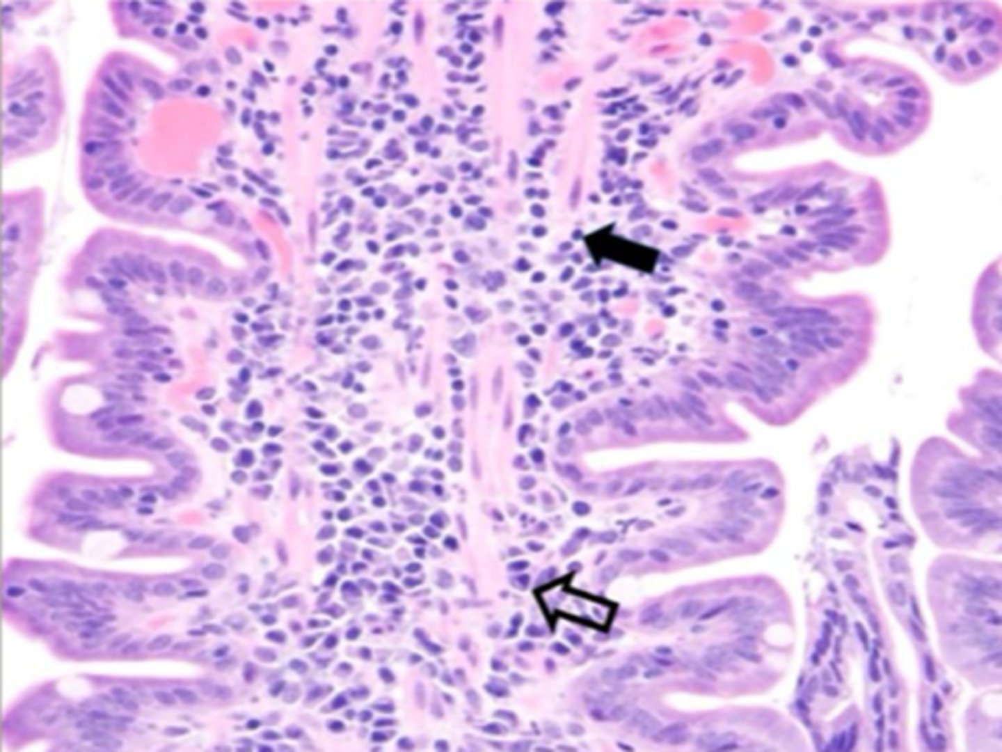 <p>What is this an example of?</p>