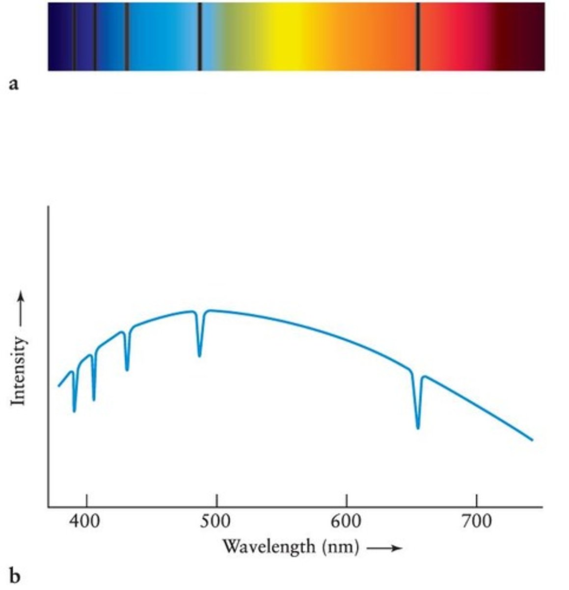 <p>The spectrum is converted by computer into a graph of intensity versus wavelength, with absorption lines appearing as dips.</p>