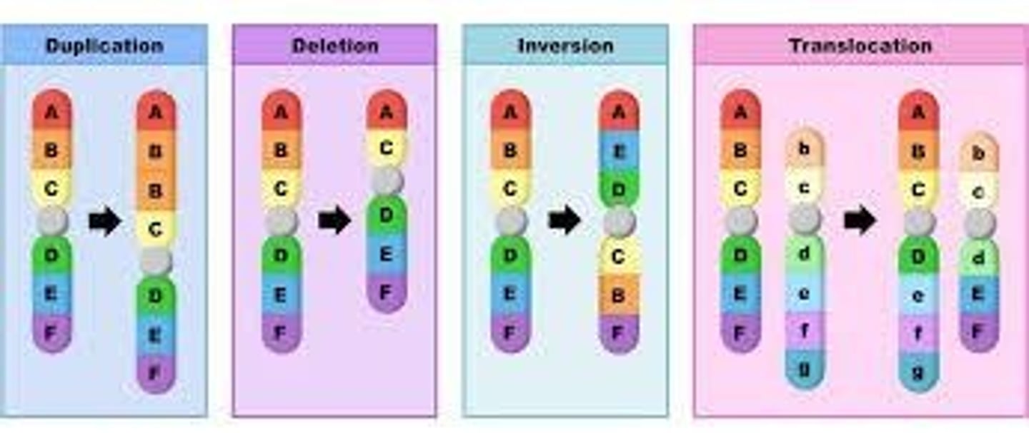 <p>Occurs when part of one chromosome breaks off and attaches to another</p>