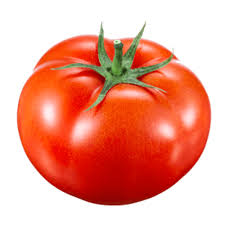 <p>die Tomate (n)</p>