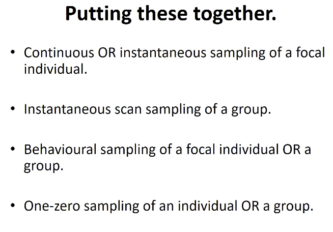 <p>sampling techniques</p><ul><li><p><strong>ad lib sampling</strong> (e.g. write down and see what occurs, use for an ethogram) - all behaviours are recorded</p><ul><li><p>good for creating an ethogram</p></li></ul></li><li><p><strong>focal sampling</strong> - focus on one individual</p></li><li><p><strong>scan sampling </strong>- scan group at regular intervals (different behaviours in the group being performed - good if you can’t tell individuals apart)</p></li><li><p><strong>behavioural / event sampling</strong> - record occurrence of a particular behaviour (good if that behaviour is the focus)</p><ul><li><p>tally chart for a frequency or rate (all-occurrence)</p></li></ul></li></ul><p></p>