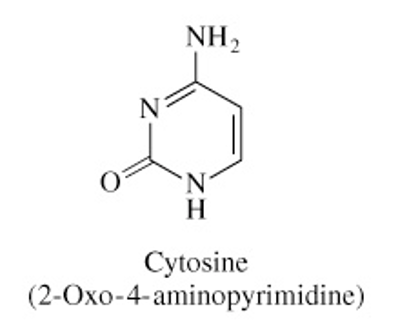 <ul><li><p>C=O bond at C2</p></li><li><p>NH2 at C4</p></li></ul><p></p>