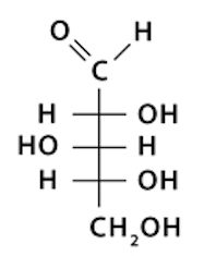 <p>What is the name of this structure?</p>