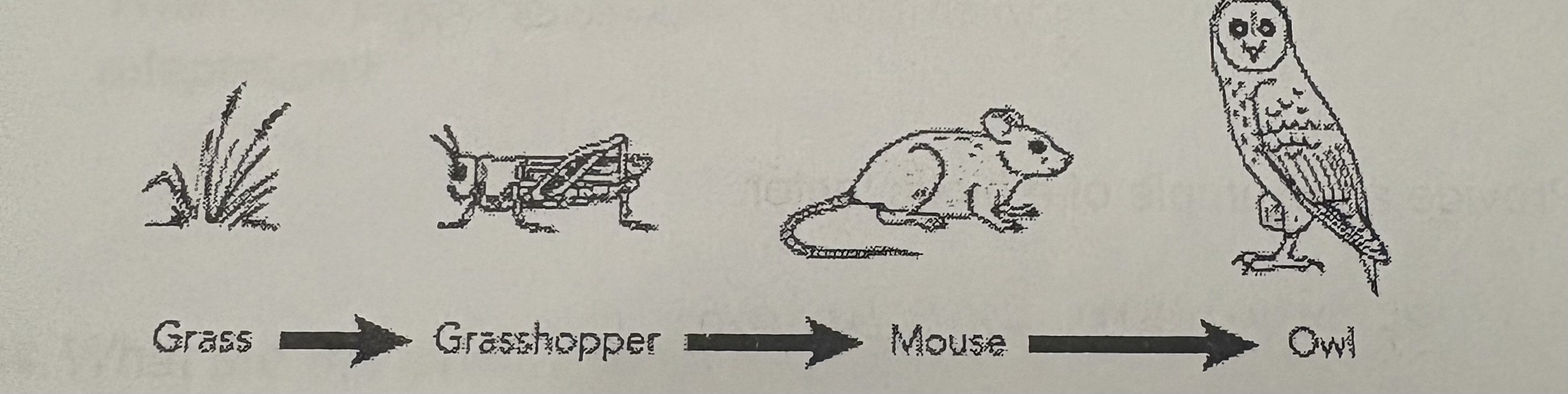 <p>What is the trophies level is the grasshopper?</p>