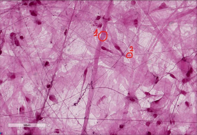 <p>What is each number circling? </p>