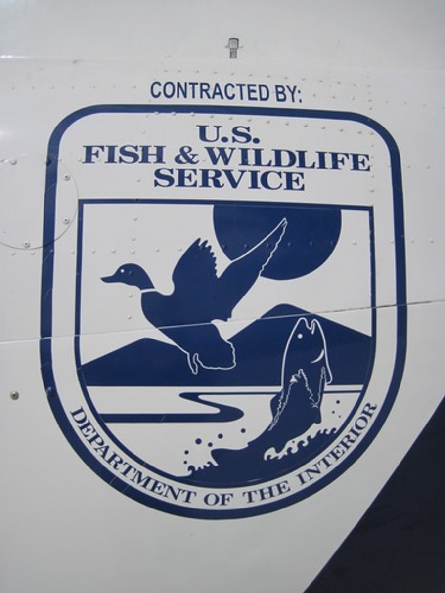 <p>"working with others to conserve, protect, and enhance fish, wildlife, plants, and their habitats for the continuing benefit of the american people"</p><p>flora + fauna</p><p>90 million acres (4%)</p>