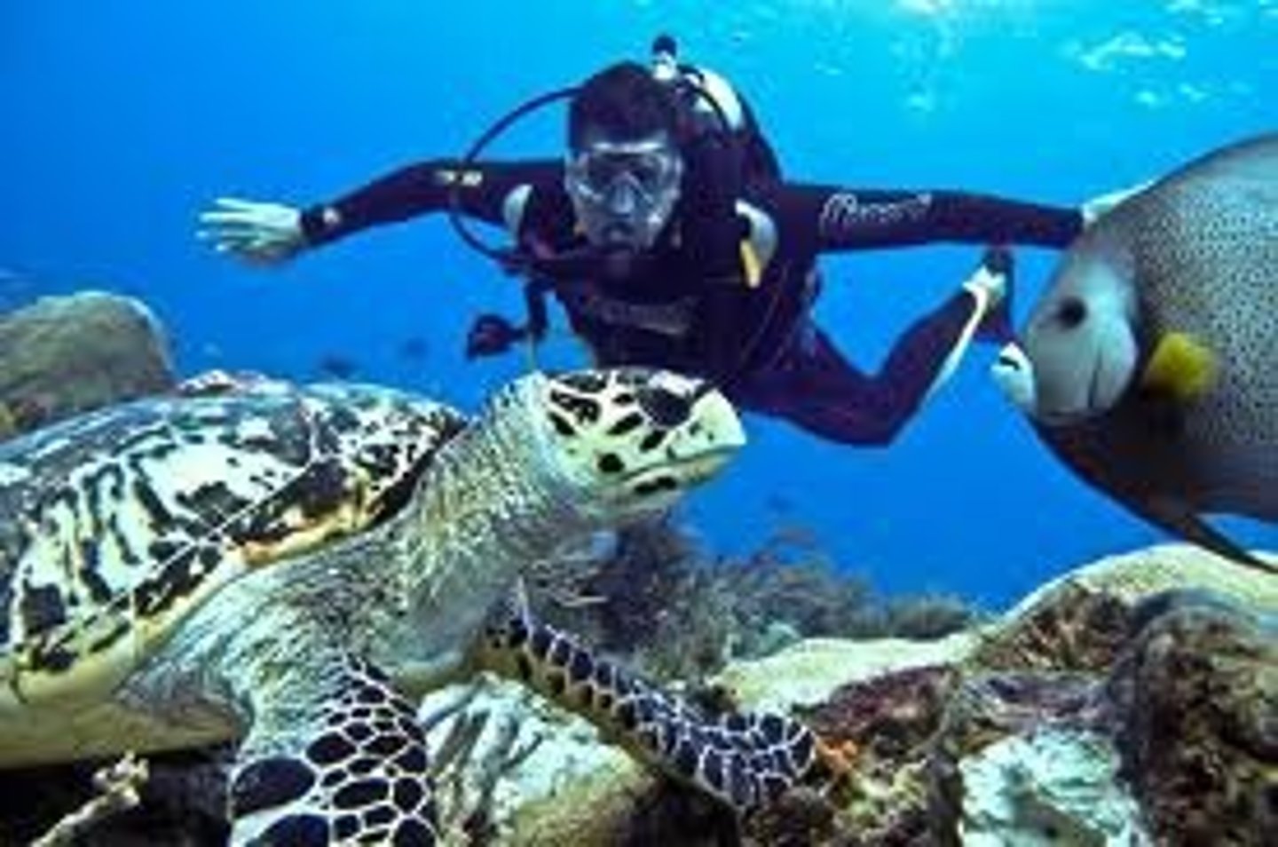 <p>I do scuba diving</p>
