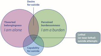 <p>simultaneous presence of “thwarted belongingness” and “perceived burdensomeness” produce the desire for suicide, but the capability is required for an actual attempt to come to fruition</p>