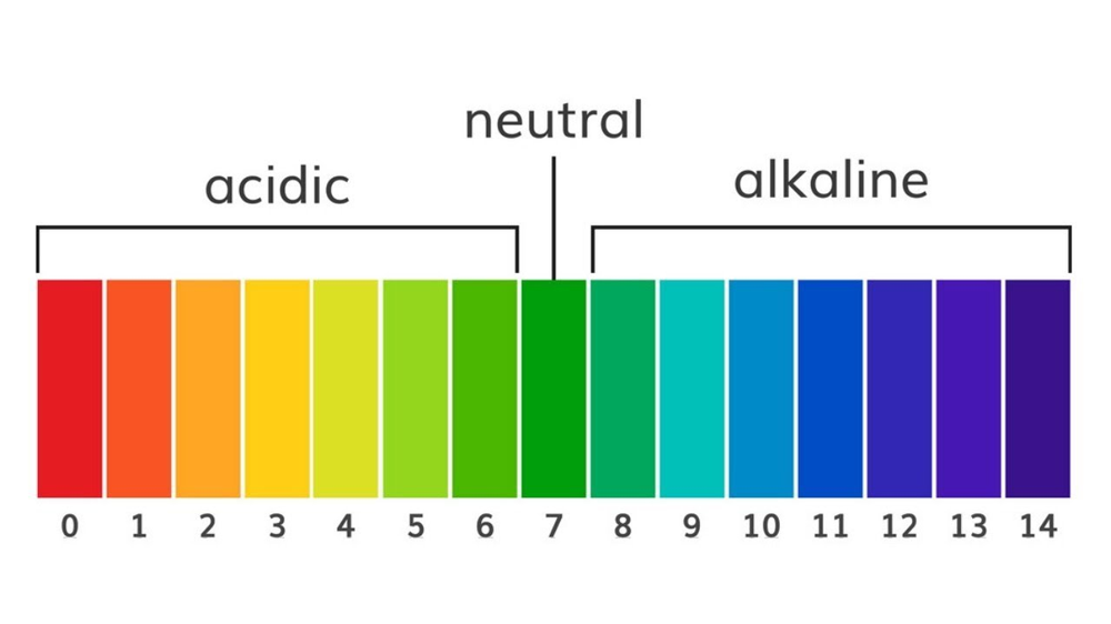 Concentration of H+ vs OH-
