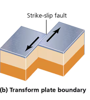 <p>Two plates slide past each other in opposite directions<br>- Strike → ship fault<br>Ex: San Andres Fault between Pacific and North American Plates</p>