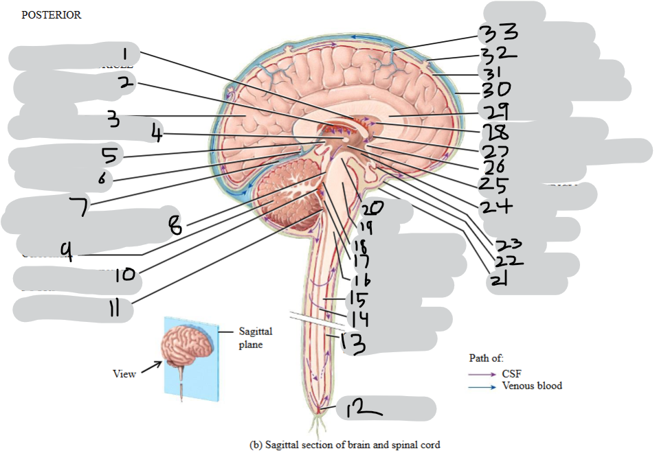 <p>Don’t bother with 1, 10, 12, 13, 21, 22, 23, 25, 33</p>