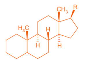 <p>What is this molecule</p>