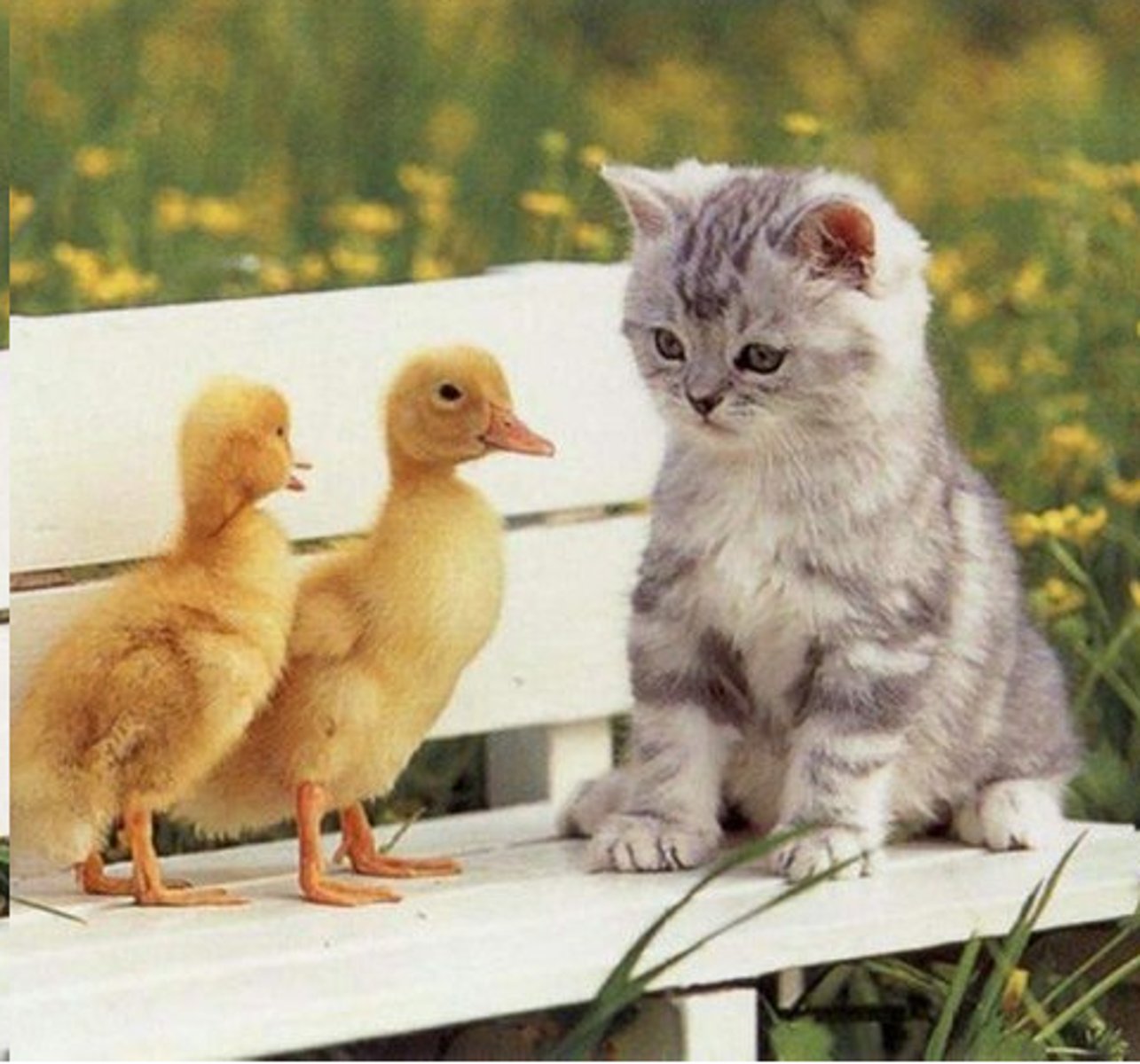 <p>with each other</p>