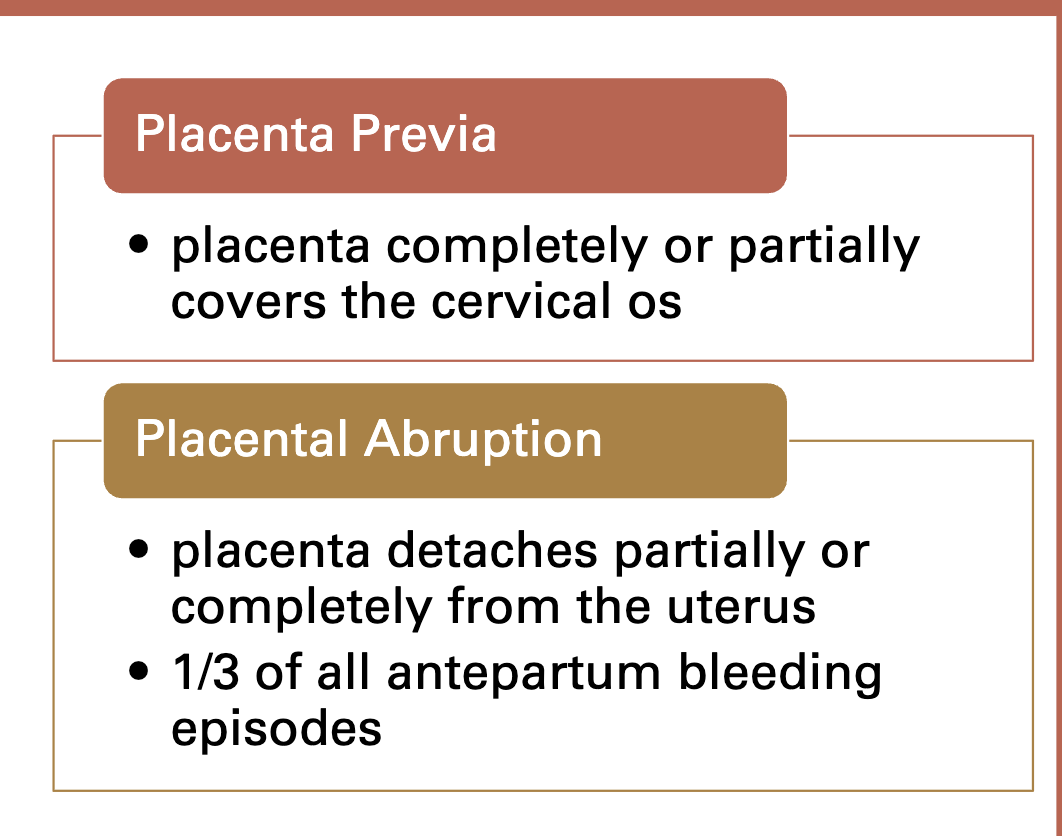 <p>placenta previa and placental abruption</p>