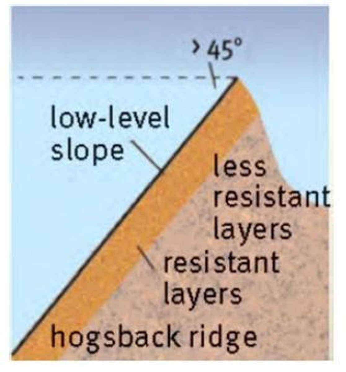 <p>1. dip and scarp slope</p><p>2. symmetrical shape</p><p>3. both sides are equally steep</p><p>4. forms a narrow, crested ridge</p><p>5. angle of dip = &gt;45</p>