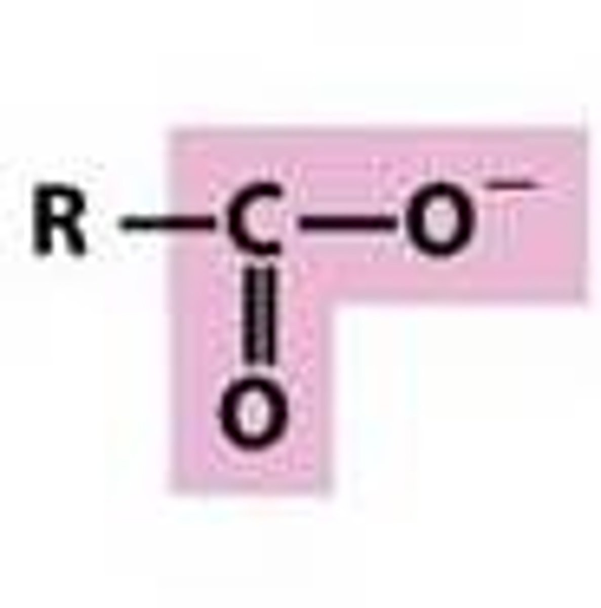<p>-a carbonyl group bonded to an O⁻</p>