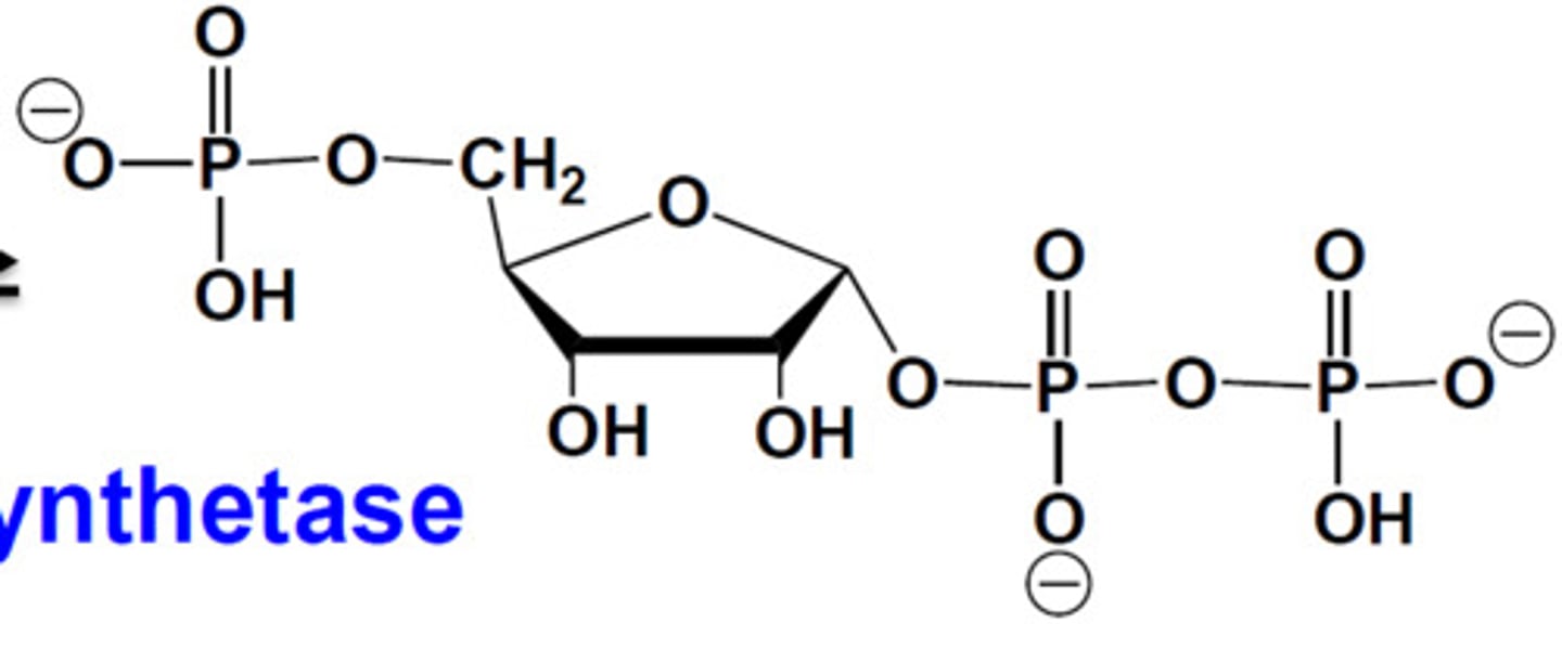 <p>phosphoribosyl pyrophosphate</p>