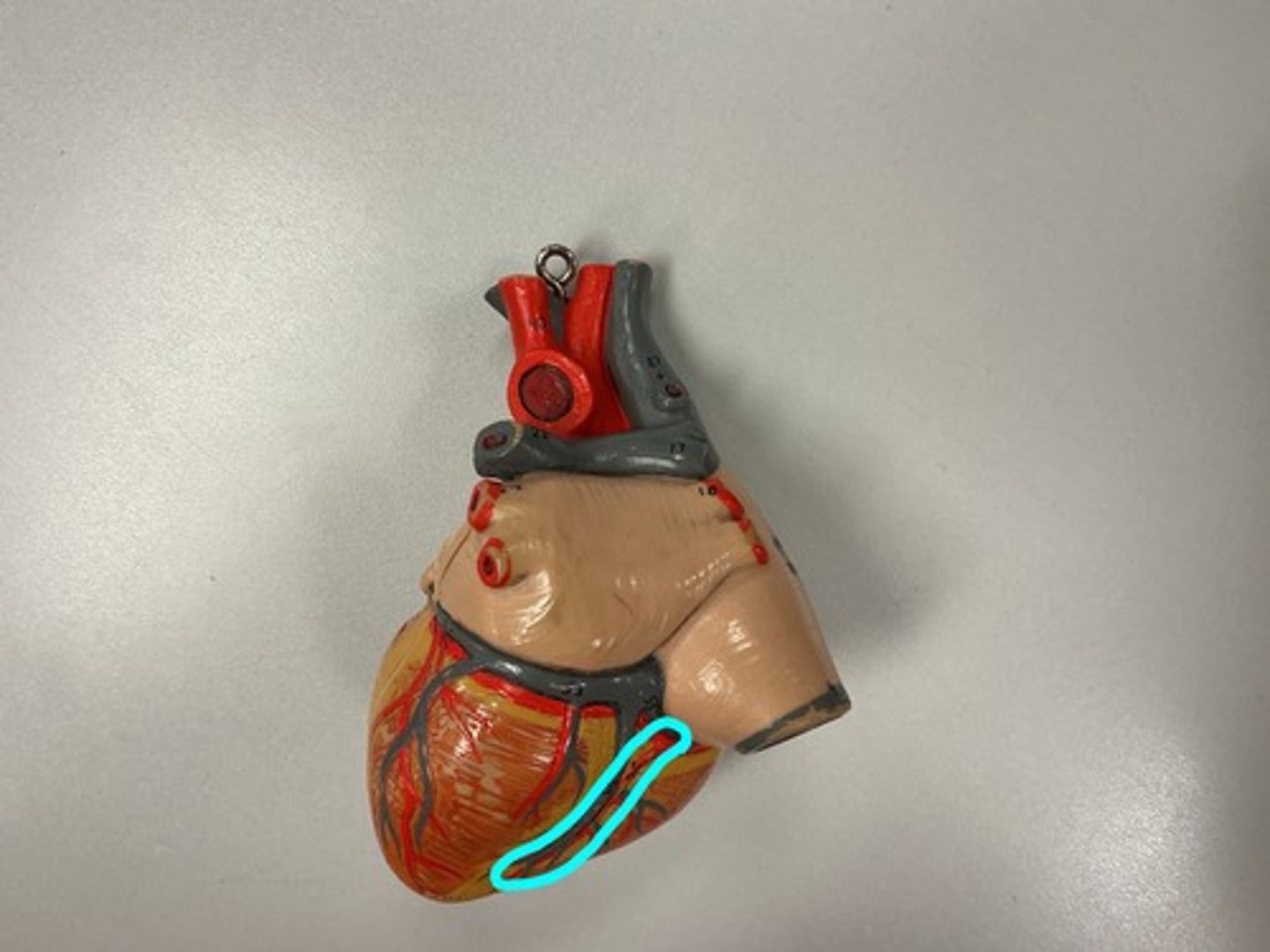 knowt flashcard image