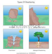 <p>_________________is the breaking down of rocks into smaller pieces called sediment.</p>