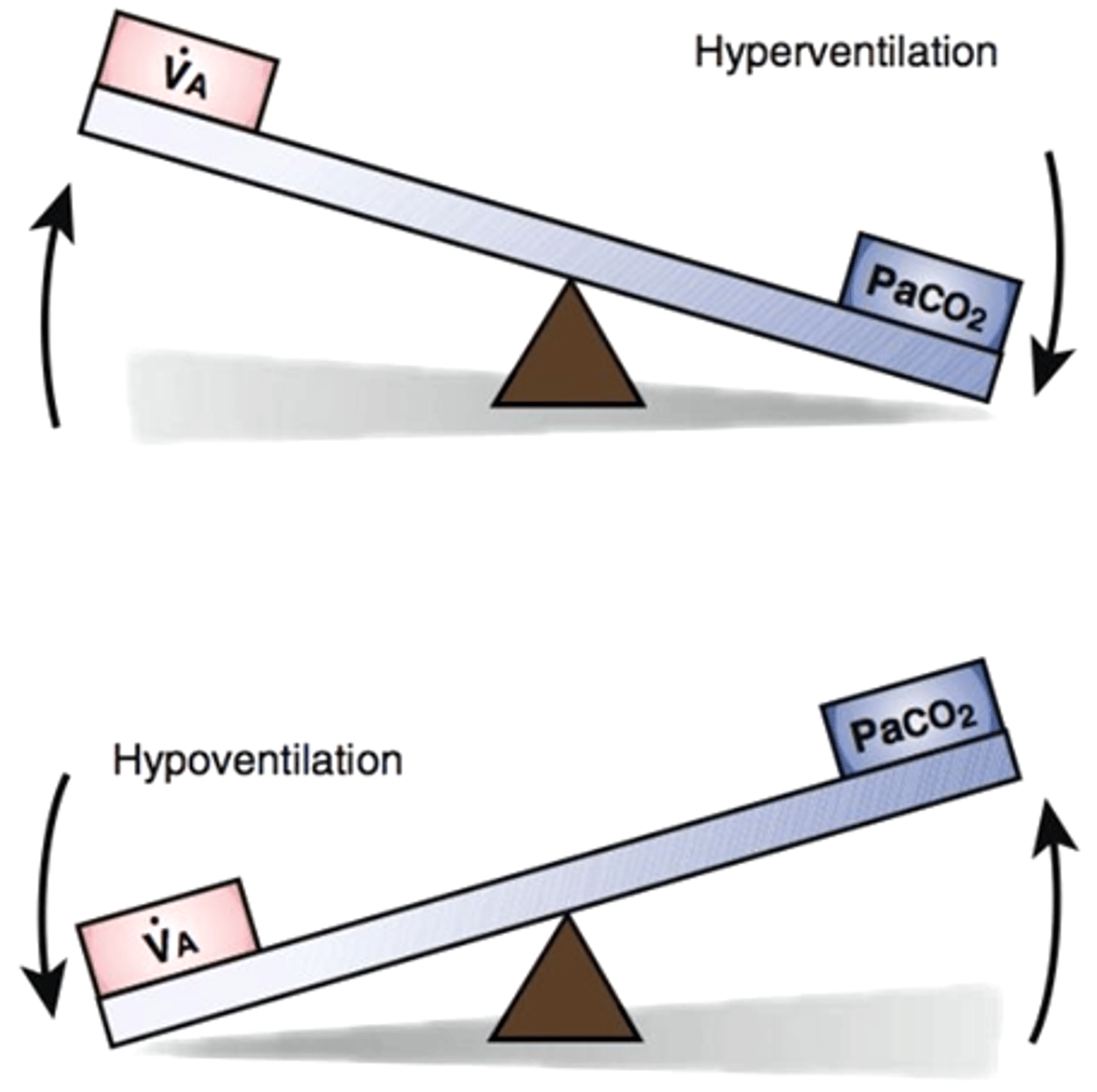 <p>inc ventilation:</p><p>arterial Co2 concentration is going to drop the SAME AMT</p><p>holding breath:</p><p>→ arterial CO2 concentration will increase bc we are not expiring it</p>