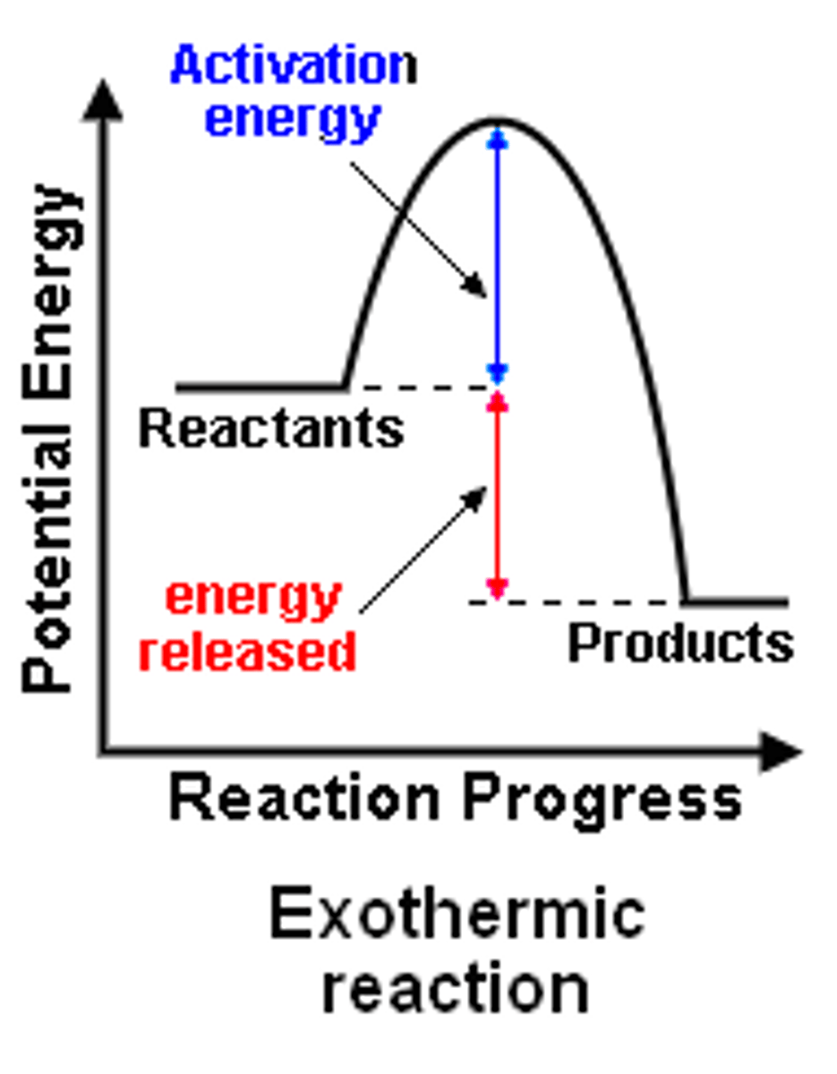 <p>A reaction that releases energy to its surroundings, usually in the form of heat</p>