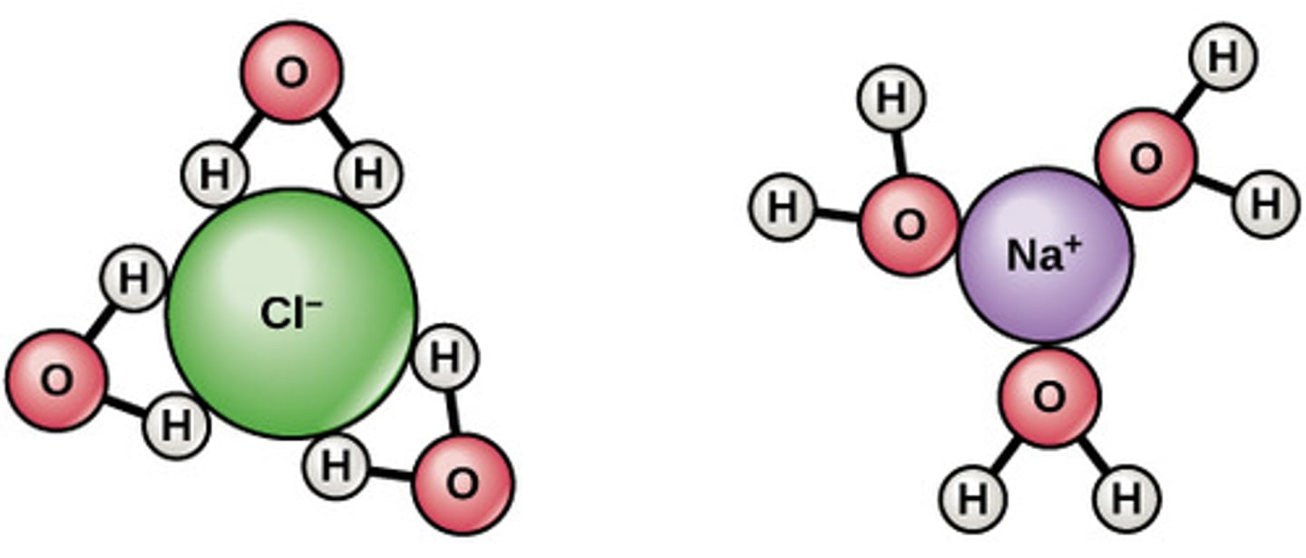 <p>Electrons in H-O bonds form weak polar covalent bonds as electrons are more attracted to the oxygen molecule due to greater electronegativity.</p><p>These polar covalent bonds can be broken and reformed allowing water to dissolve other polar molecules in water by forming a hydration shell, whereas the oxygen (negative dipole) or hydrogen (positive dipole) of the water faces the ions it surrounds</p>