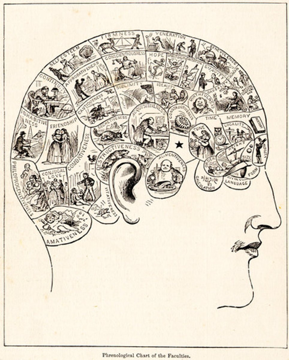 <p>Practitioners of phrenology, a pseudoscience claiming that a person's character and mental abilities could be determined by the shape of their skull.</p>