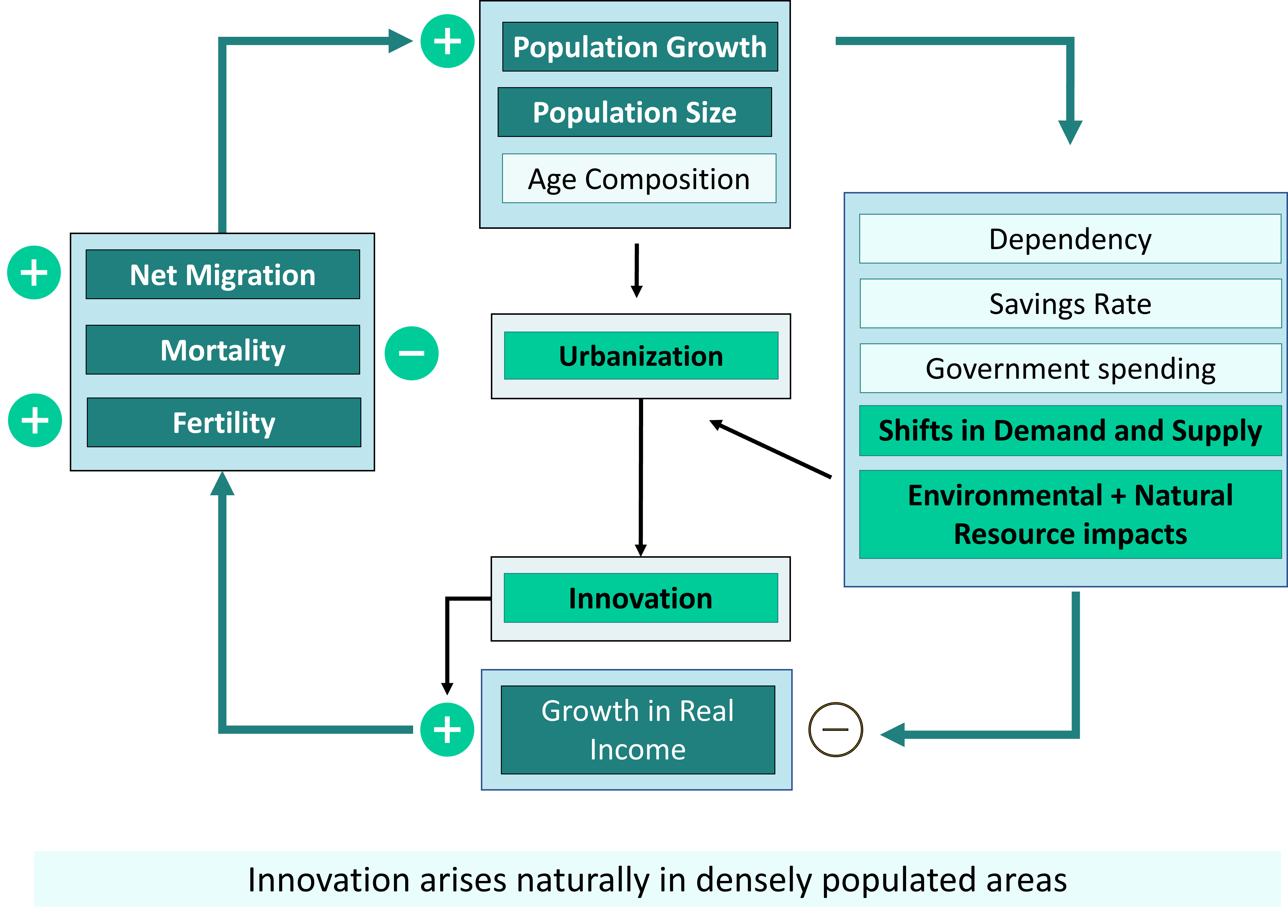 <ul><li><p>Importance of cities for economic development </p></li><li><p><span>Population growth leads not only to rising prices but also to urbanization, and urbanization leads to innovation and better institutions.</span></p></li><li><p><span>Innovation arises natural in densely populated areas </span></p></li></ul>