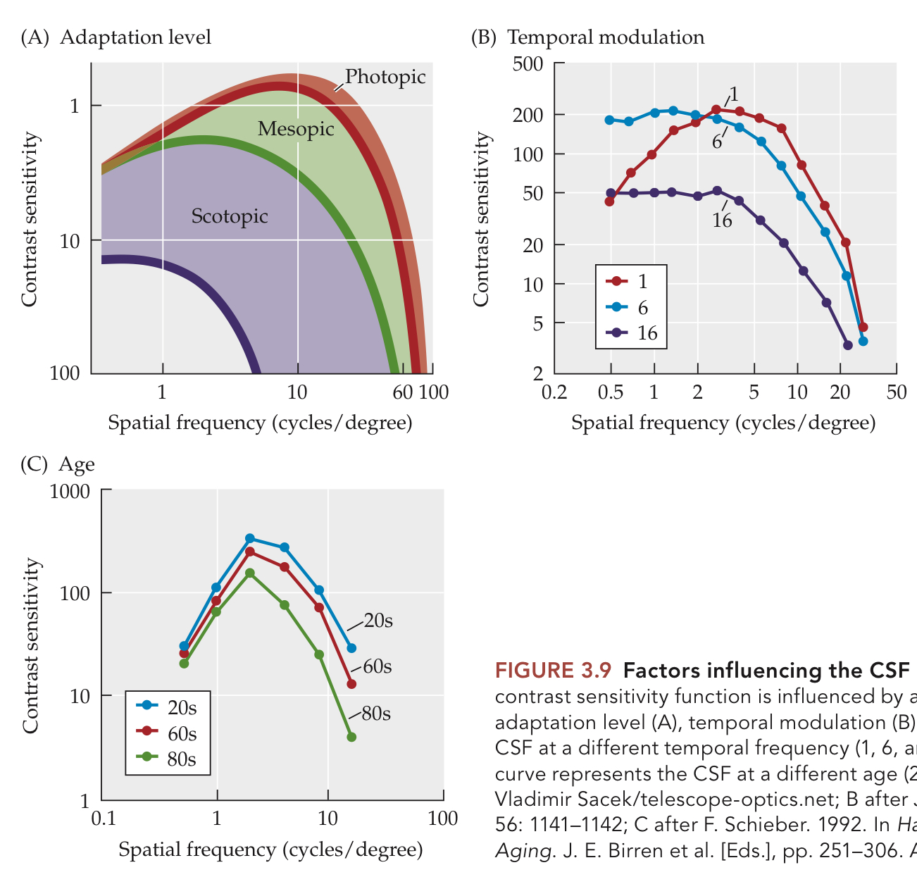 <ol><li><p>adaptation level of eye</p></li><li><p>Temporality modulation of targets (how it varies over time)</p></li><li><p>age and refractive state of individual</p></li></ol><p></p>