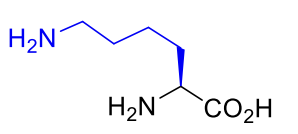 <p></p>