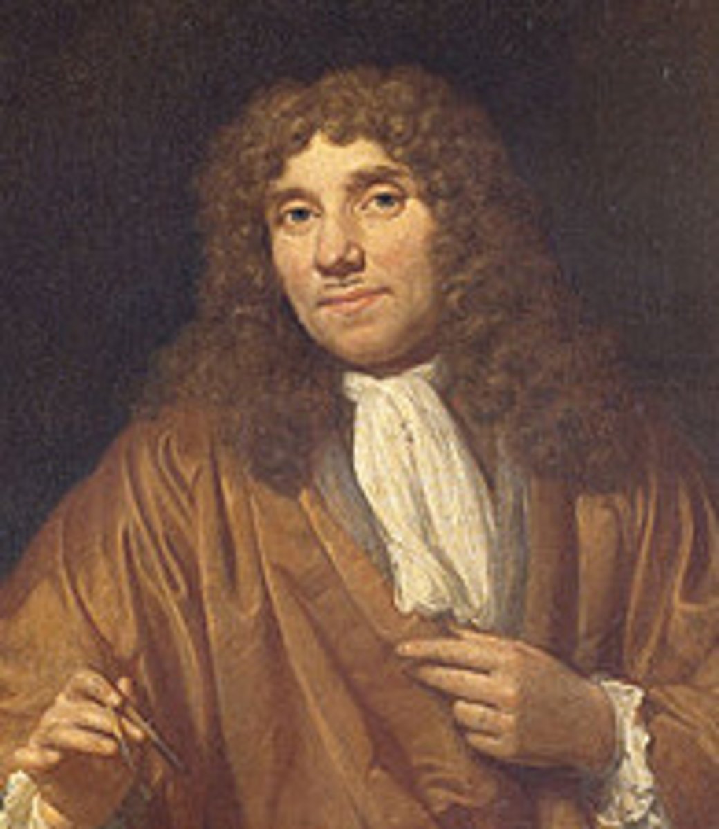 <p>He saw the first living microorganisms.</p>