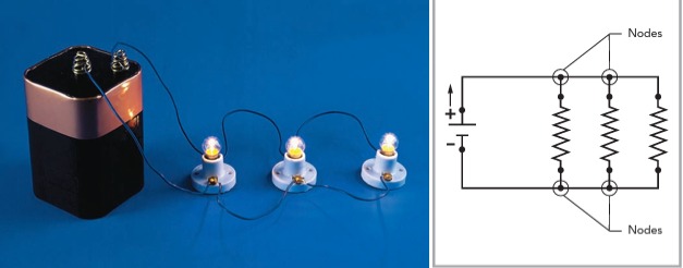 <p>…is a circuit that contains at least one branch.</p>