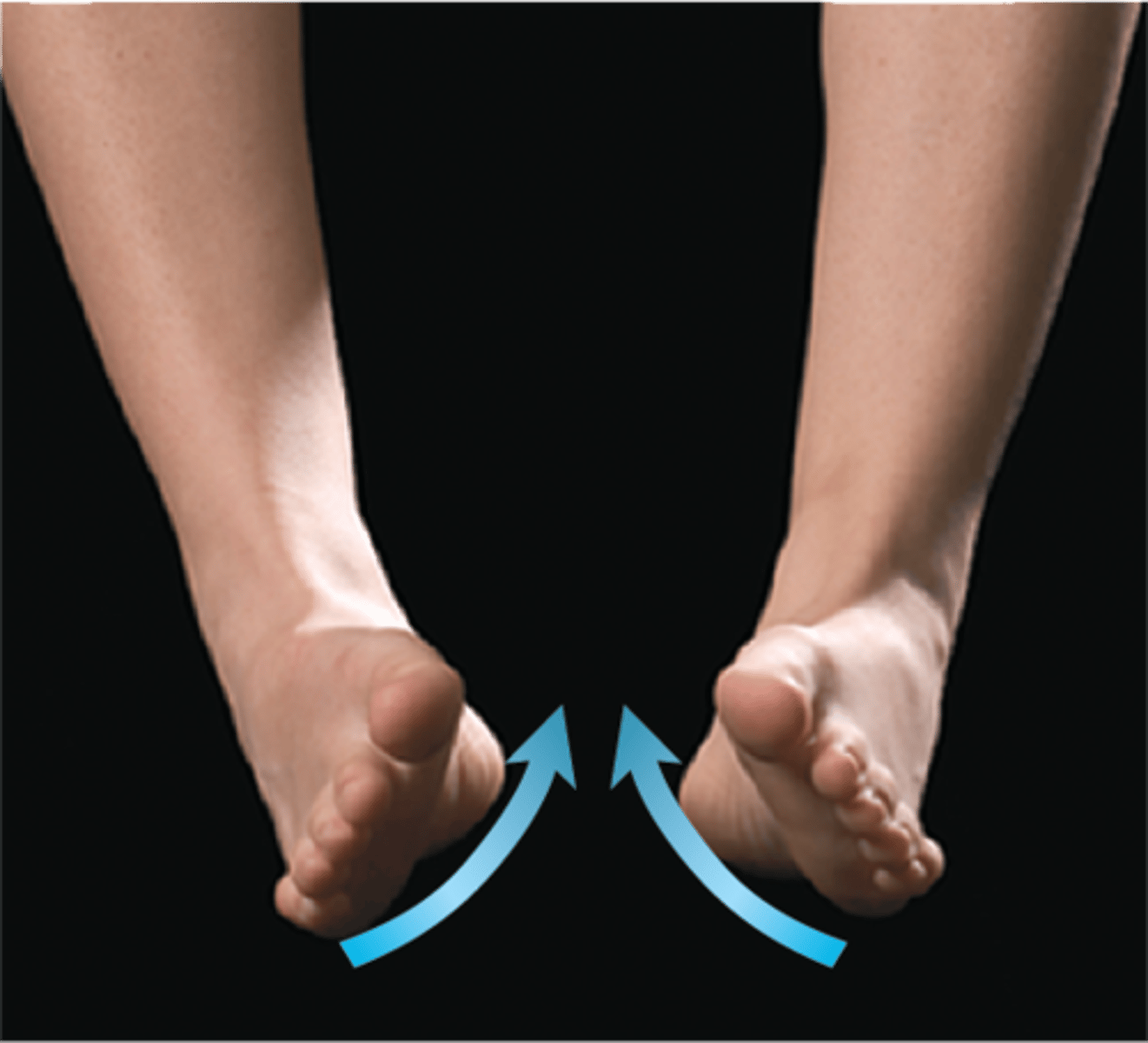 <p>soles face medially</p>