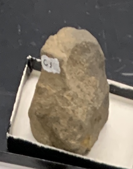 <p>C1</p>