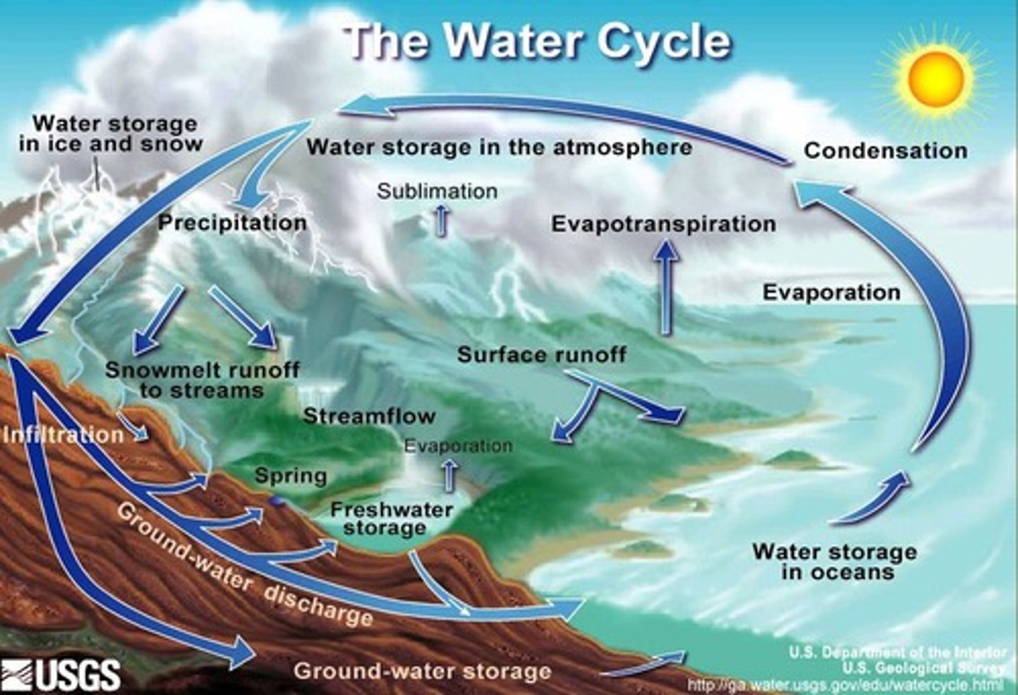 <p>Water moves between oceans, atmosphere, glaciers, rivers, groundwater, plants, and animals through processes like evaporation, precipitation, infiltration, runoff, and transpiration.</p>