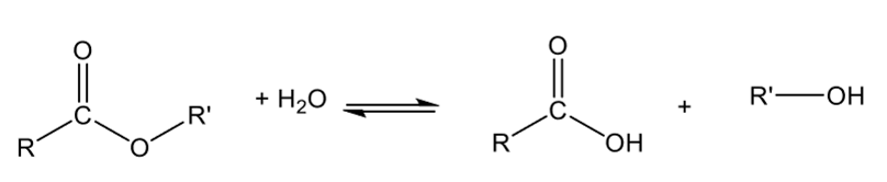<p>ester + H<sub>2</sub>O ←→ carboxylic acid + alcohol</p>
