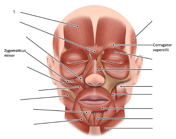 <ol><li><p></p></li></ol><p></p>