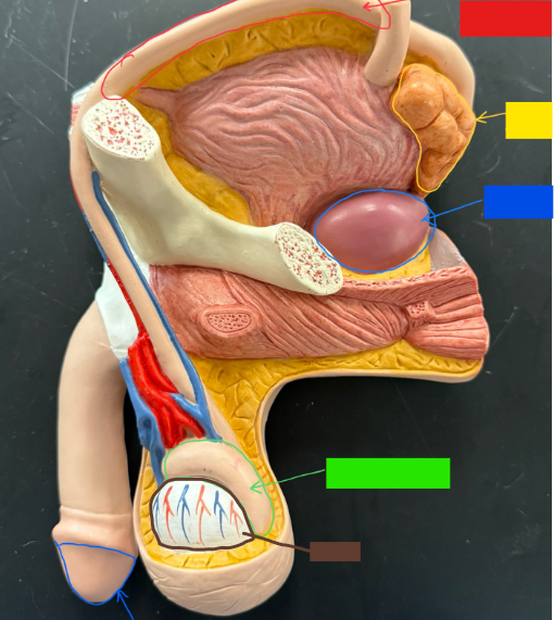 <p>What is the name of the brown box?</p>