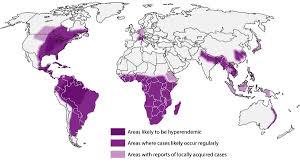 <p>Histoplasma capsulatum</p>
